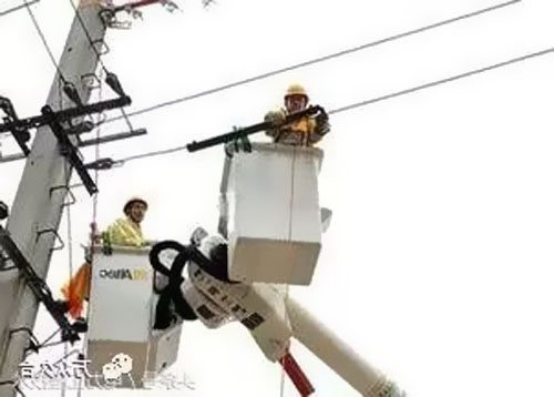 如何區(qū)分高壓電纜和低壓電纜